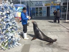 -烟台海昌鲸鲨海洋公园