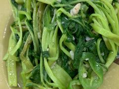 椒丝腐乳通菜-贞姨美食·老字号海鲜大排档