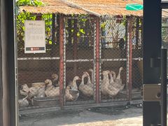 -鱼窝棚柴火铁锅炖(富山屯店)