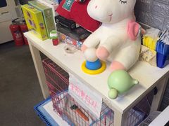 -好玩工厂密室·鹅鸭杀·桌游拼豆电玩
