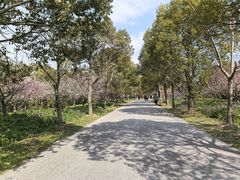 -上海海湾国家森林公园