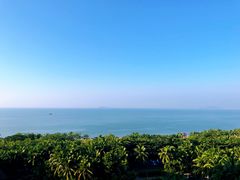 -三亚湾海居铂尔曼度假酒店