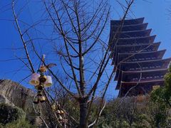 -牛首山文化旅游区