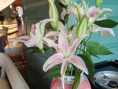 -南堂馆·新川菜(春熙路店)