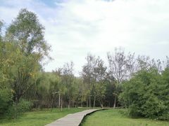 -西安浐灞国家湿地公园