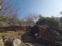 -广东天露山旅游度假区