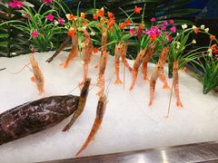 -阳光岛·海鲜盛宴(银泰中心in99店)
