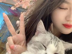 -喵八撸猫馆