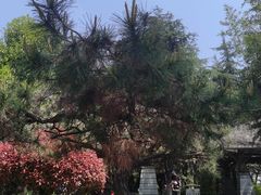 -白塘生态植物园