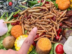 -遇见阿家村云南菜(魏公村店)