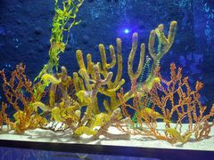-珠海长隆海洋王国