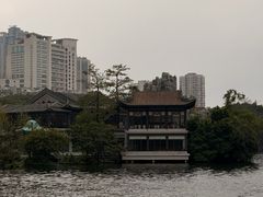 -荔湾湖公园