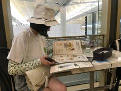 -翠华餐厅(香港国际机场店)