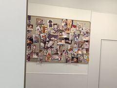 -宠物星动物医院·眼科·异宠·猫科(江南大道总院)