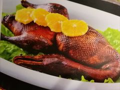 -沪碟·精菜坊(闵行店)