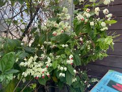 -北京植物园-展览温室