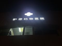 -柏萃动物医院·骨科·牙科
