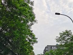 -王婆婆老妈蹄花川菜馆·非物质文化遗产(太古里一店)