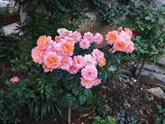 -五四广场美食城