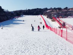 -蓟洲国际滑雪场