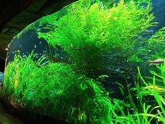 -上海海洋水族馆
