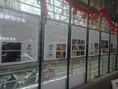 -pd派德宠物中心医院24H急重症·眼科中心·血液透析中心(嵩山北路店)