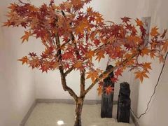 -和里合·颜愈SPA·Relax瑶浴·Massage(石厦店)