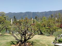 -炎帝陵景区
