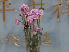 -西安大兴善寺