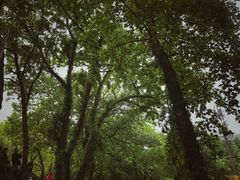 -兴福老面馆(寺路街店)