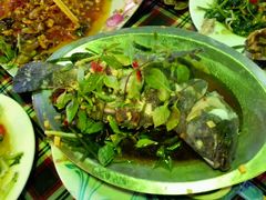 石斑-幸福姐海鲜大排档