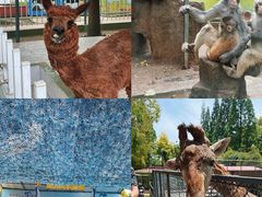 -荆州中山公园动物园