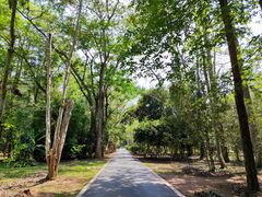 -中国科学院西双版纳热带植物园