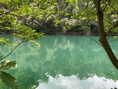 -鼎湖山风景区
