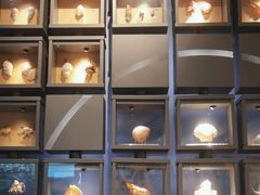 -中国湿地博物馆