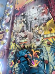 -卡通尼·Safari非洲探索乐园·生日会(金桥国际商业广场店)