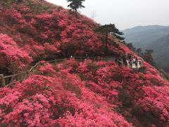 -木兰云雾山