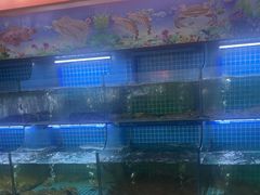 -陈小厨海鲜大咖·15年平潭味(龙王头店)