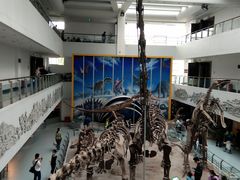 -中国地质大学逸夫博物馆