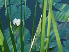 景点-野鸭湖国家湿地公园