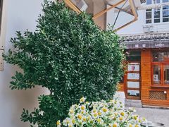 -大青树咖啡(大理古城店)