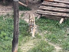 -泉州海丝野生动物世界