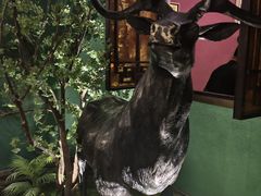 -新白鹿餐厅(银泰西湖文化广场店)