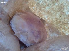 -一定好食品有限公司(四川北路商业街店)