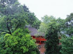 -青城山