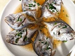 -阿莉餐厅(枣阳路店)