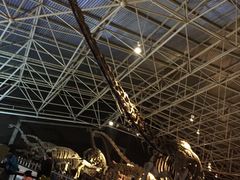 -世界恐龙谷景区