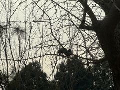 -香山公园