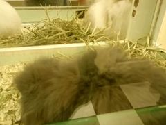 -龙猫仔乐园(惠福东路店)