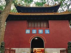 -普陀山风景名胜区-法雨禅寺